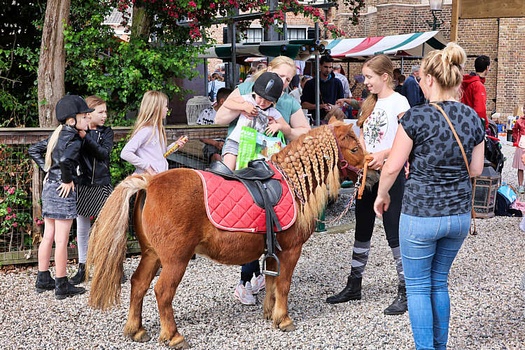 Rommelmarkt 2022 Waarder_104